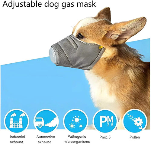 3 Pcs Adjustable Gas Mask for Dogs - Reusable