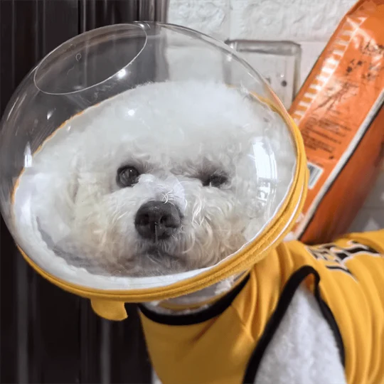 Pet Anti-Bite Mask No-Snack Full Head Cover Lightweight & Adjustable
