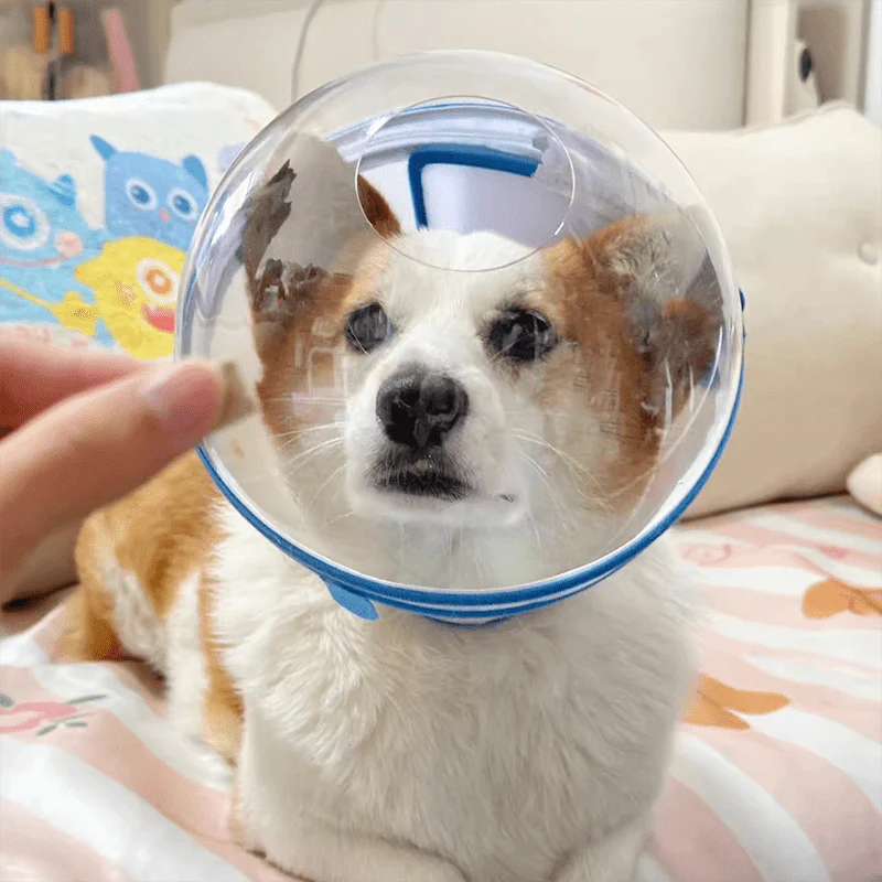Pet Anti-Bite Mask No-Snack Full Head Cover Lightweight & Adjustable