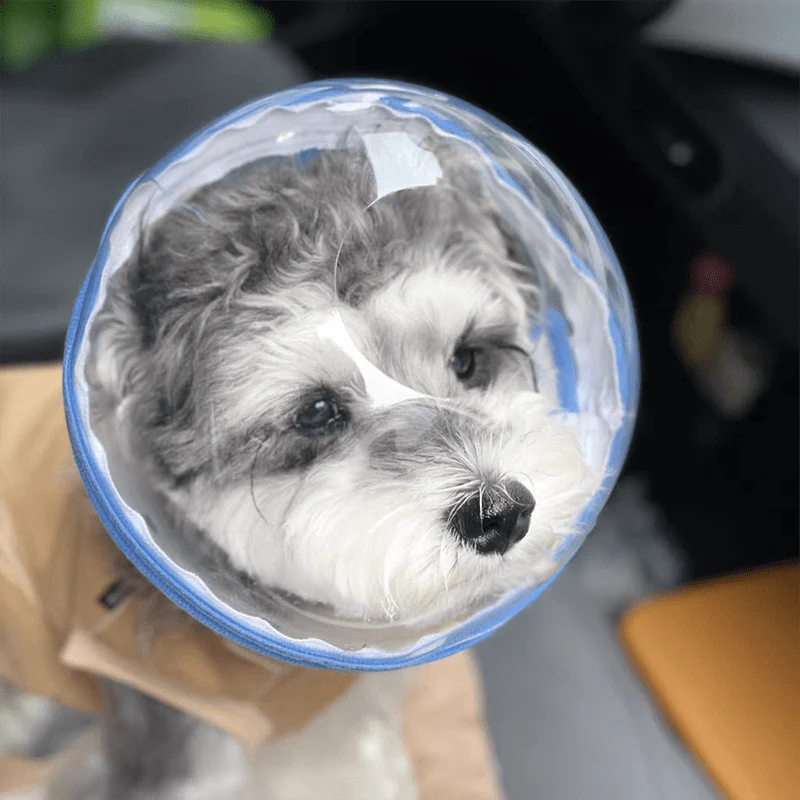 Pet Anti-Bite Mask No-Snack Full Head Cover Lightweight & Adjustable