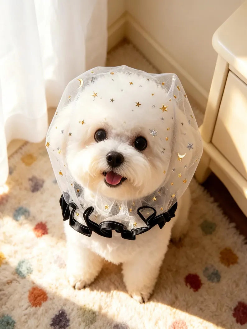 Starry Mesh Face Mask for Small Dogs, Breathable Anti-Scavenging No-Lick Pet Face Cover, Soft Dog Snood Headgear for Walking & Photoshoot