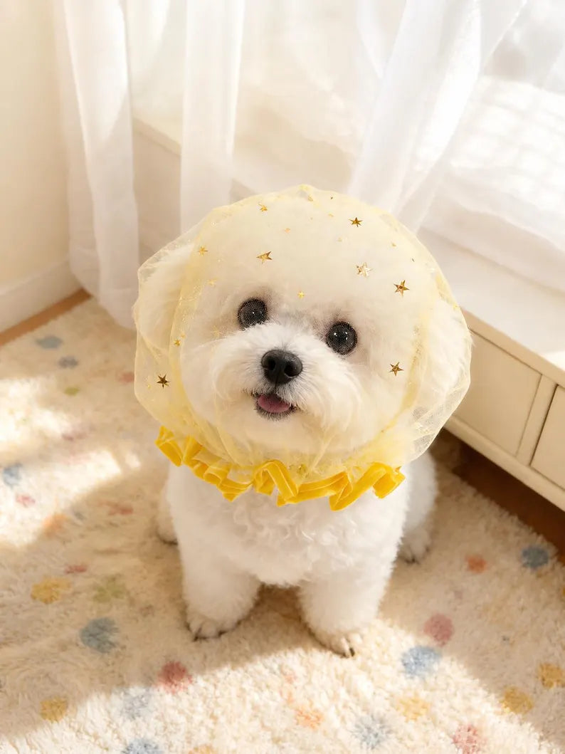 Starry Mesh Face Mask for Small Dogs, Breathable Anti-Scavenging No-Lick Pet Face Cover, Soft Dog Snood Headgear for Walking & Photoshoot